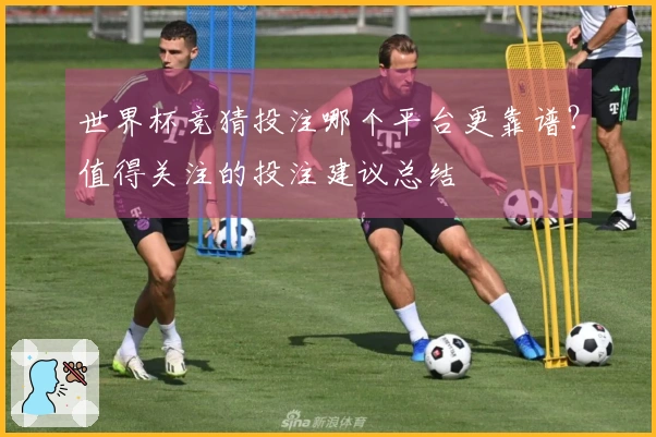 世界杯竞猜投注哪个平台更靠谱？值得关注的投注建议总结