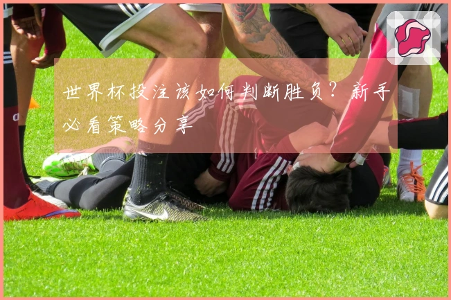 世界杯投注该如何判断胜负？新手必看策略分享