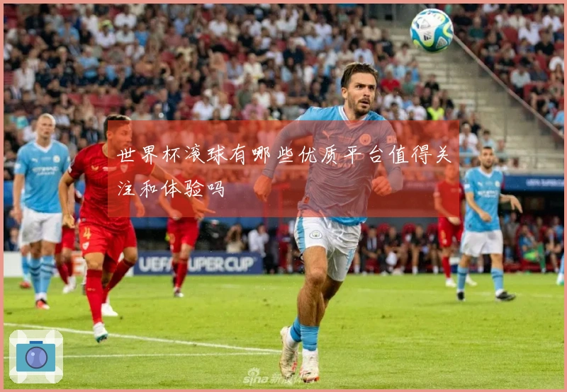 世界杯滚球有哪些优质平台值得关注和体验吗