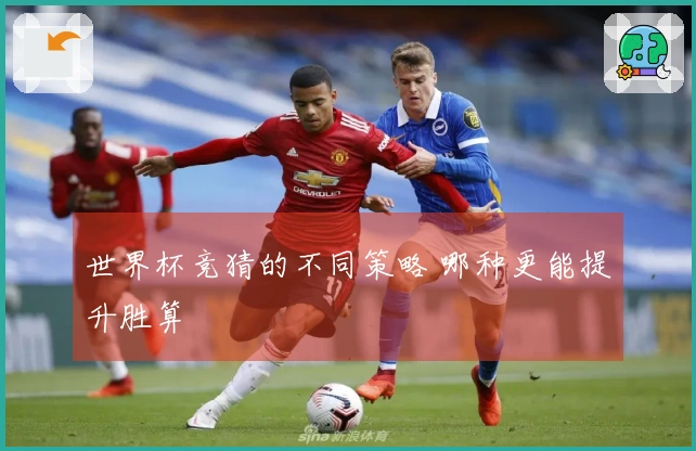 世界杯竞猜的不同策略 哪种更能提升胜算