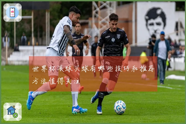 世界杯滚球买球有哪些技巧和推荐方法值得关注
