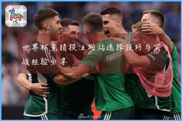 世界杯竞猜投注网站选择技巧与实战经验分享