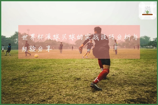 世界杯滚球买球的实战技巧分析与经验分享