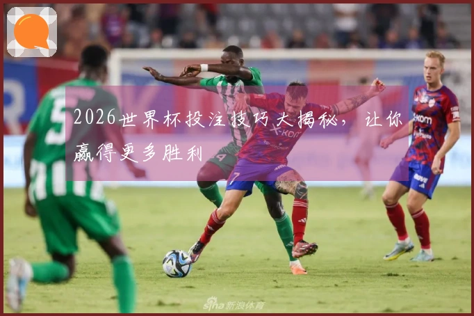 2026世界杯投注技巧大揭秘，让你赢得更多胜利