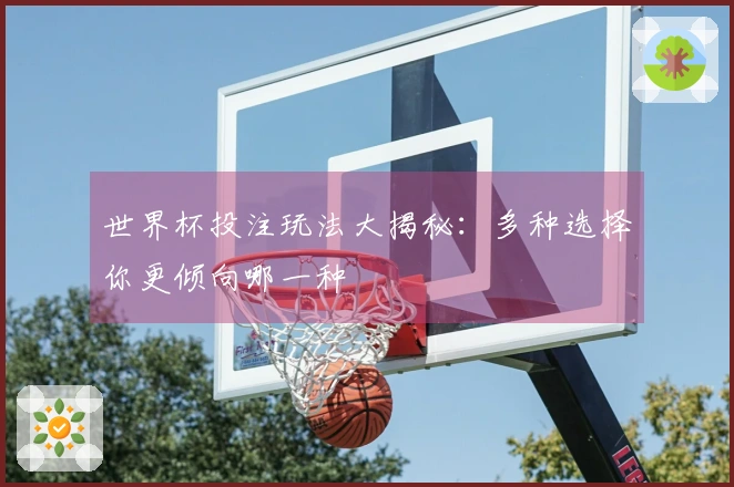 世界杯投注玩法大揭秘：多种选择你更倾向哪一种