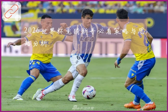 2026世界杯竞猜新手必看策略与思路分析