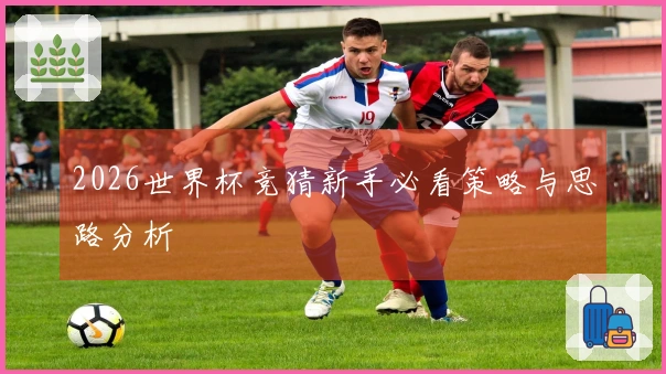 2026世界杯竞猜新手必看策略与思路分析